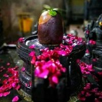 SGaurav (@captgauravs) 's Twitter Profile