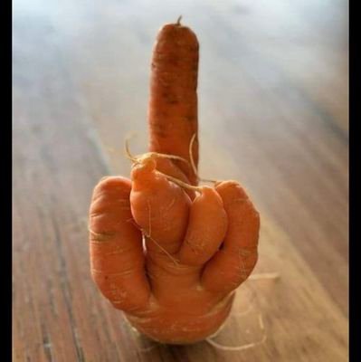 shaunybhoy52's profile picture. I WILL SAY WHAT I LIKE 
WHEN I LIKE 
GOD GAVE ME A VOICE AND ONLY GOD CAN SILENCE ME.