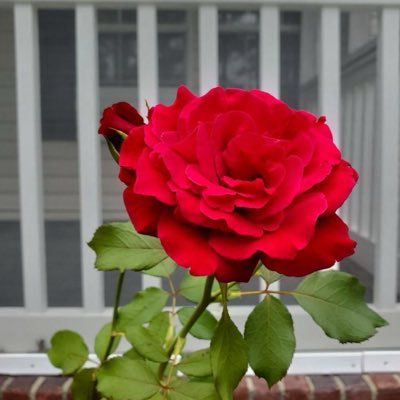 DeborahHiller8's profile picture. Conservative Christian. I love the Lord, my family and friends and my country! 🚫DMs will be deleted /blocked. ✝️🇺🇸