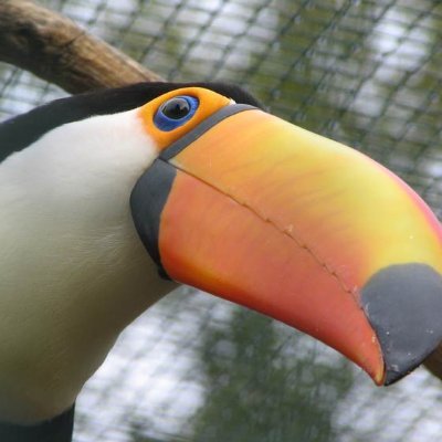 dlouhy_ptak's profile picture. píšu pouze v češtině 🇨🇿