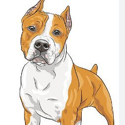 Alencar34346670's profile picture. 