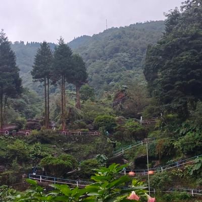 savetrees369's profile picture. एक भारतीय नागरिक 🇮🇳 🚩
Grow more trees for a better tomorrow🌳
#savetrees