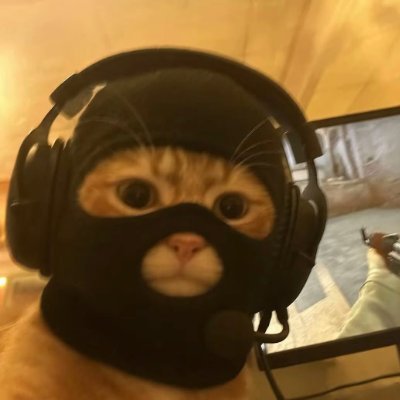 Dubbit_YT's profile picture. Getting into animating lul 😂