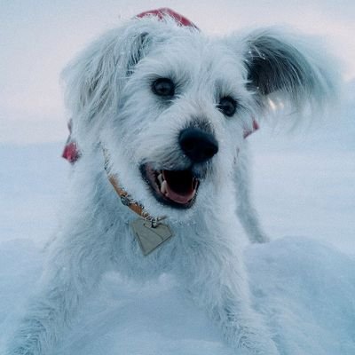 årmelle ⊗さんのプロフィール画像