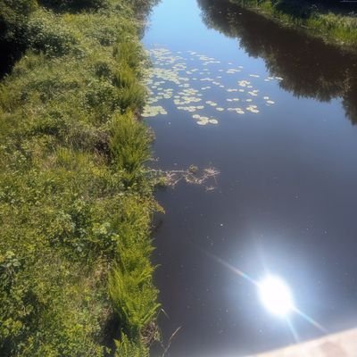 MarisaE1028's profile image