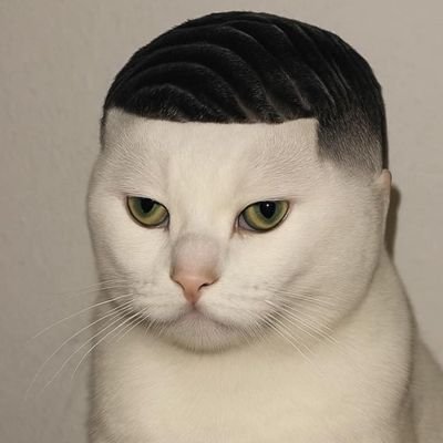 grindcatonsonic's profile picture. $GCAT stays grindin on Sonic big dawg

https://t.co/AWqPva7LZE