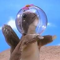 pjharveynator's profile picture. I am fun and it’s been scientifically proven