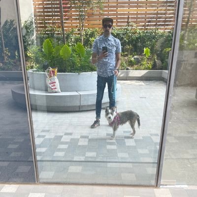 SarraldeCorso's profile picture. 