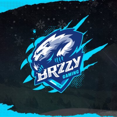 @brzzygaming