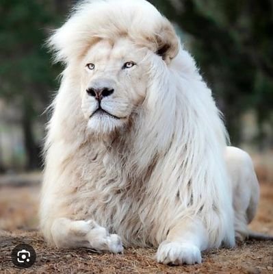 MelanieCha15456's profile picture. 