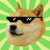 Braybray517526's profile picture. 