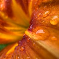 BeaxchBoy (@beaxchb) 's Twitter Profile