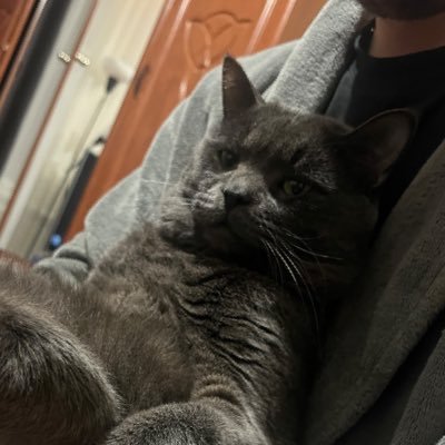 catmurket's profile picture. 