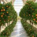 l'Orangerie (@l_orangerie_) Twitter profile photo l'Orangerie (@l_orangerie_) Twitter profile photo