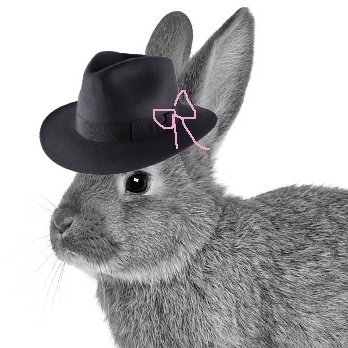 bnuuy_detective's profile picture. i don’t sleep, i hop!