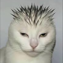 Diocustoms's profile picture. masheando por la vida
Remando con una pura mano