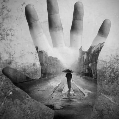 ahmed_mora48410's profile picture. دوام الحال من المحال