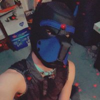 Matty (@matthew98182375) 's Twitter Profile