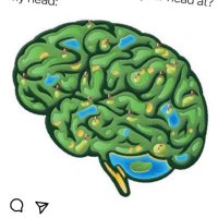 Aldobrando Broccolini, MD, PhD (@abroccolini1) 's Twitter Profile Photo