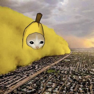 diamondhand97's profile picture. 