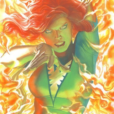 Marvel & DC comic reader jean grey fan! Started my weight loss journey!
