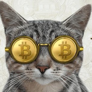 zurik0444's profile picture. JUST GUY. CRYPTO CAT