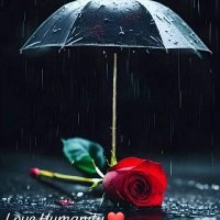 Abdullah (@naqibafrid45582) 's Twitter Profile