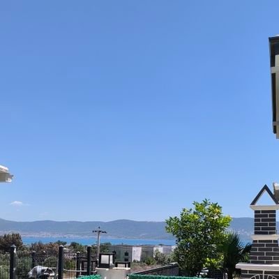 emrekay11249965's profile picture. !!!