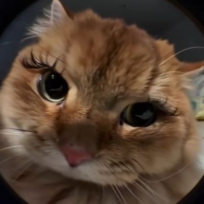 gweeoq's profile picture. 