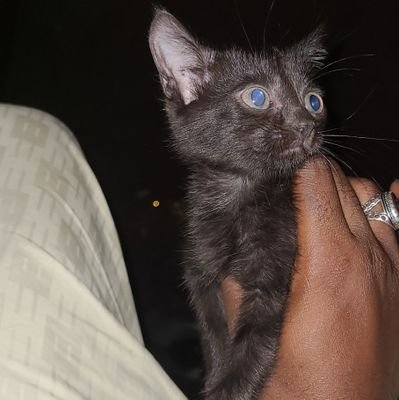 Real Madari da kuma Maguna. Yawwa, anya ba melanin ne matsalan ba?