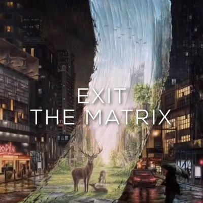 SultanKosmitow9's profile picture. ,,wybrany spośród wielu innych,będący w najlepszym gatunku,przedni ,,