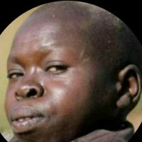 Steph (@steph5346443551) 's Twitter Profile