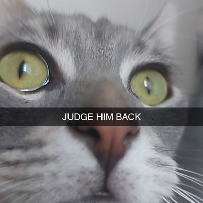 naweya_'s profile picture. ||any pronouns||