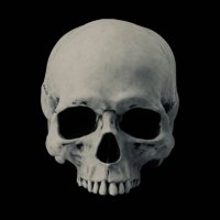 ๏ผซ๏ผก๏ผฉ๏ผด๏ผฏ (@scythehybrid) 's Twitter Profile Photo ๏ผซ๏ผก๏ผฉ๏ผด๏ผฏ (@scythehybrid) 's Twitter Profile Photo