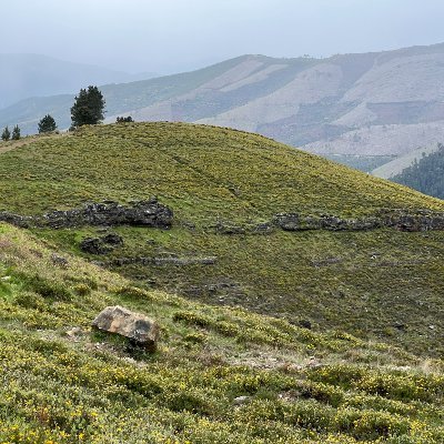 CarlosPinh44085's profile picture. 