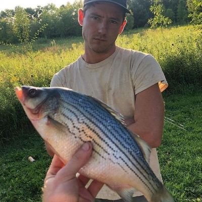 avocado_at_law_'s profile picture. чисто невдупльониш