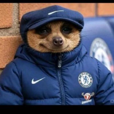 magnifico0001's profile picture. Tax Enthusiast |ACA