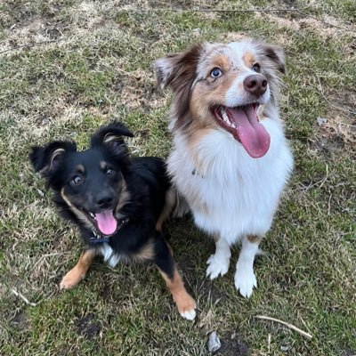 RileySonerson's profile picture. 