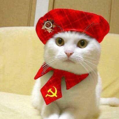 AnaVera530871's profile picture. 