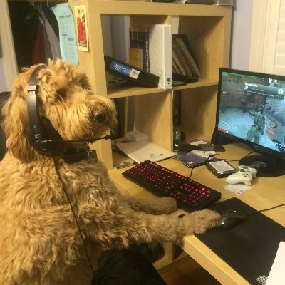 KudosSOL's profile picture. 