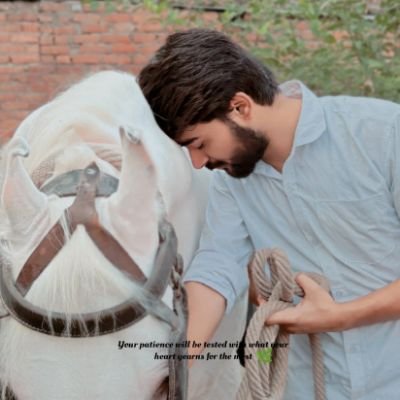 @_meer_ali512_