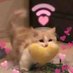 00770077 (@n00770077) Twitter profile photo 00770077 (@n00770077) Twitter profile photo