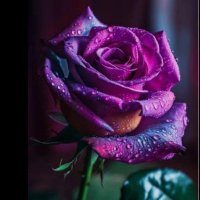 Gülseren Keskin (@feyzgulseren_) 's Twitter Profile Photo Gülseren Keskin (@feyzgulseren_) 's Twitter Profile Photo