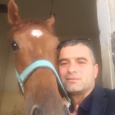 Mehmetdirekli's profile picture. 