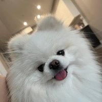 Freja Anderson (@ander_frejao) 's Twitter Profile