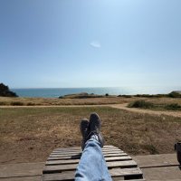 HalfReadPages (@halfreadp) 's Twitter Profile