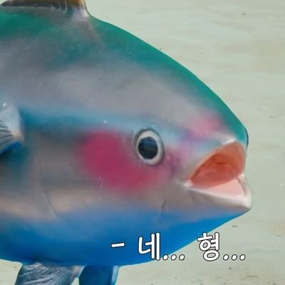 melonpan⁷ 🕕さんのプロフィール画像