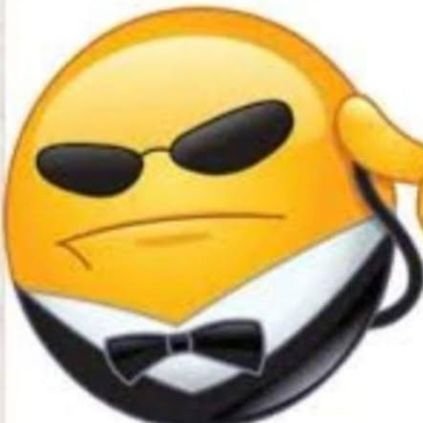 ZkSyncMaxi69's profile picture. Defi will change the world, Defi changed my life.