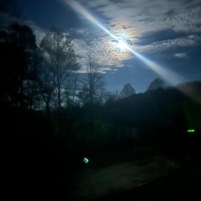 Maxload55's profile picture. 