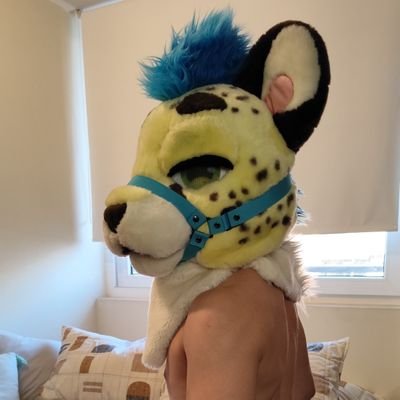 35 yo 🇨🇱 | Just a small cheetah showing off his horniest side 🔞 | Softest twunk top ever | Yiff acc @EvanBlessedYiff